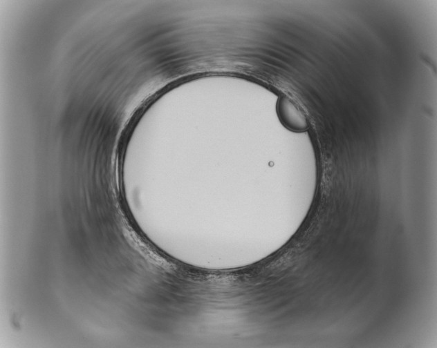 X0000101151080200807251043