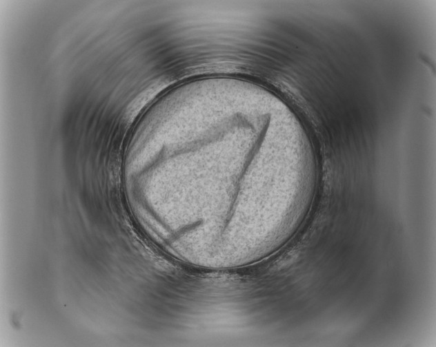 X0000101151081200807251043
