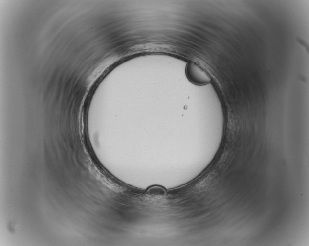 X0000101151082200807251043