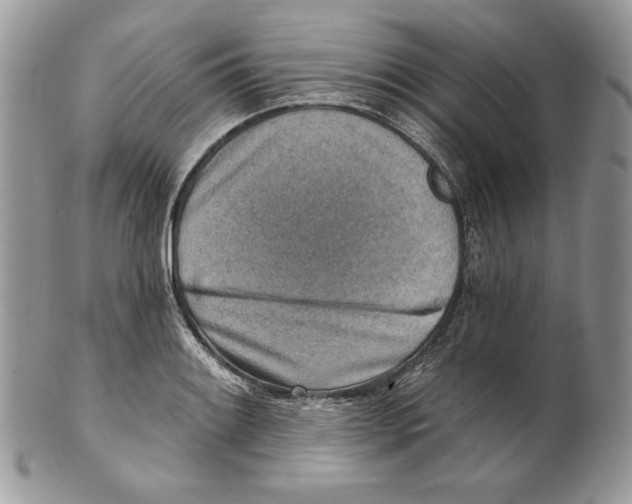 X0000101151084200807251043