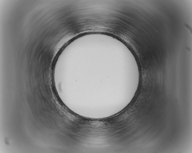 X0000101151085200807251043