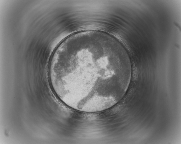 X0000101151086200807251043
