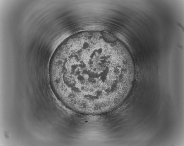 X0000101151087200807251043