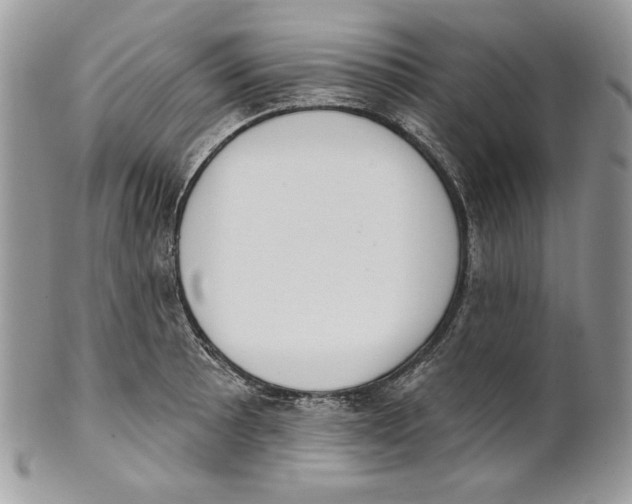 X0000101151089200807251043