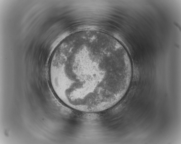 X0000101151090200807251043
