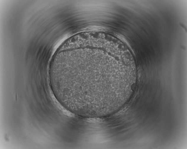 X0000101151091200807251043
