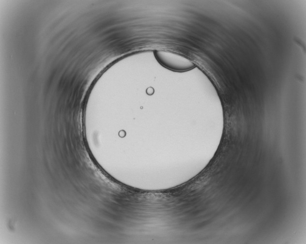 X0000101151092200807251043