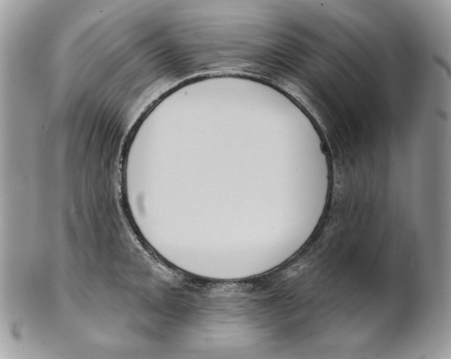 X0000101151093200807251043