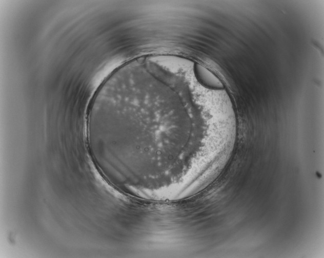 X0000101151095200807251042