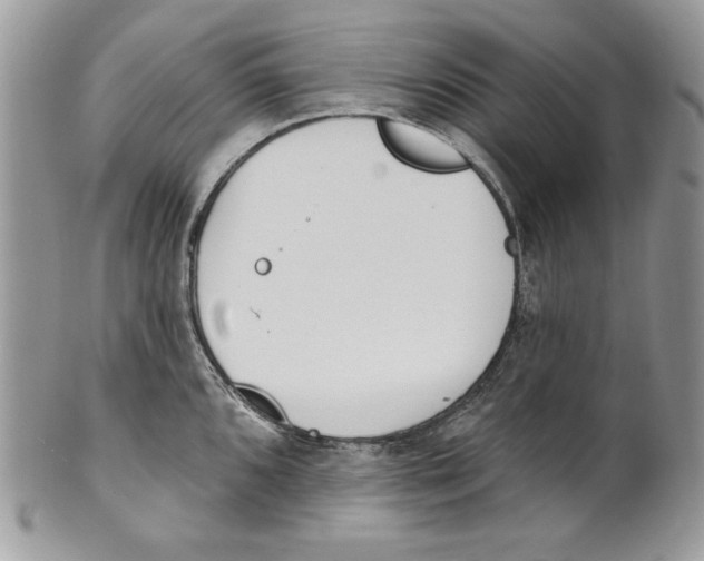 X0000101151096200807251042