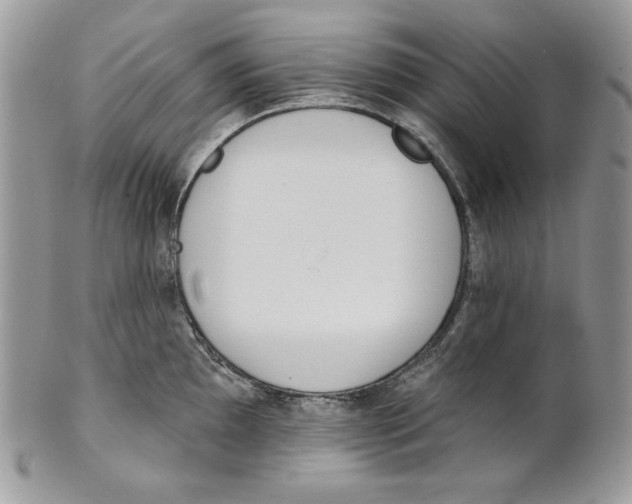 X0000101151097200807251042