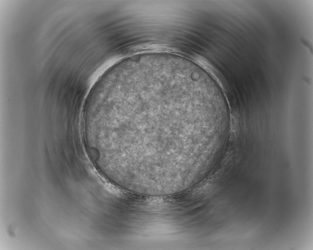 X0000101151098200807251042