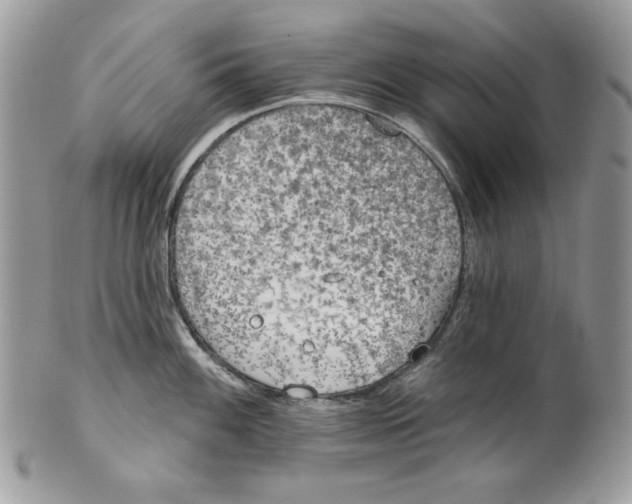 X0000101151100200807251042