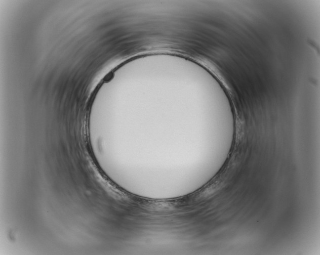 X0000101151101200807251042