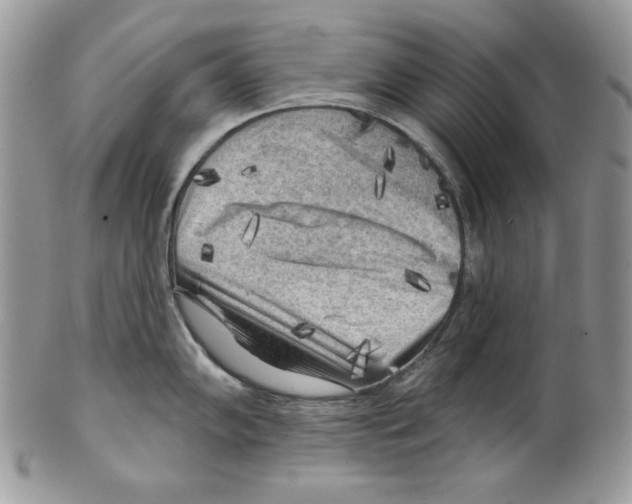 X0000101151102200807251042