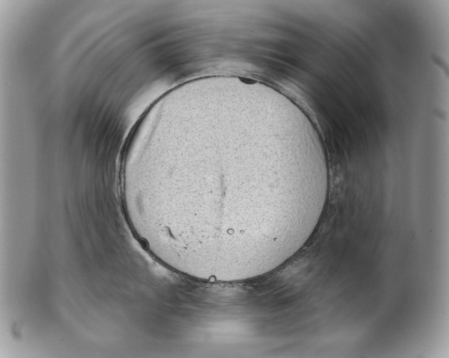 X0000101151103200807251042