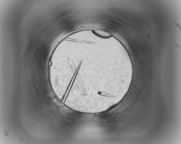 X0000101151104200807251042
