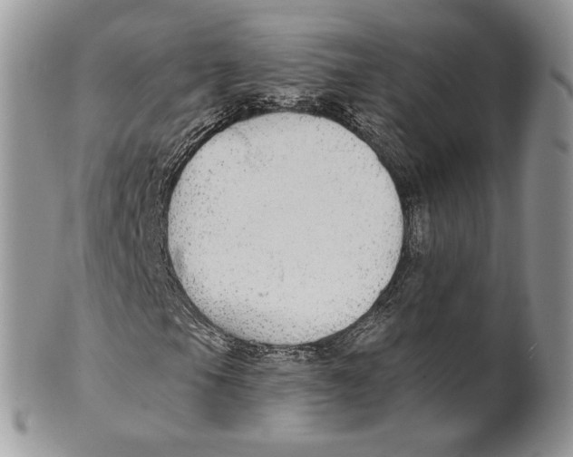 X0000101151105200807251042