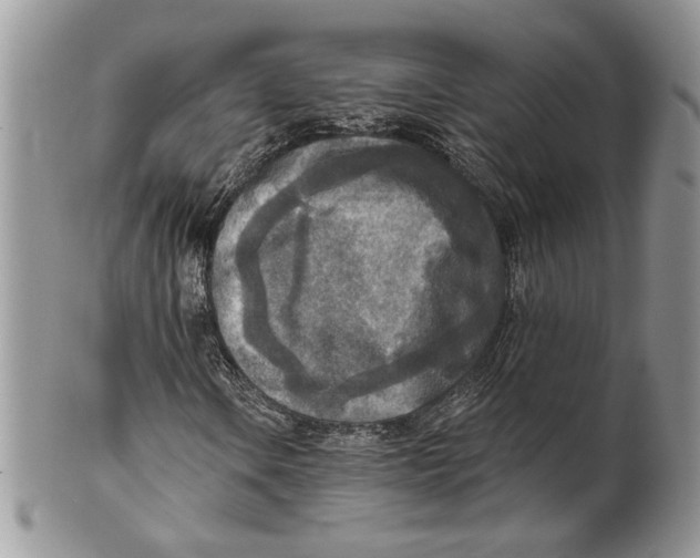 X0000101151106200807251042