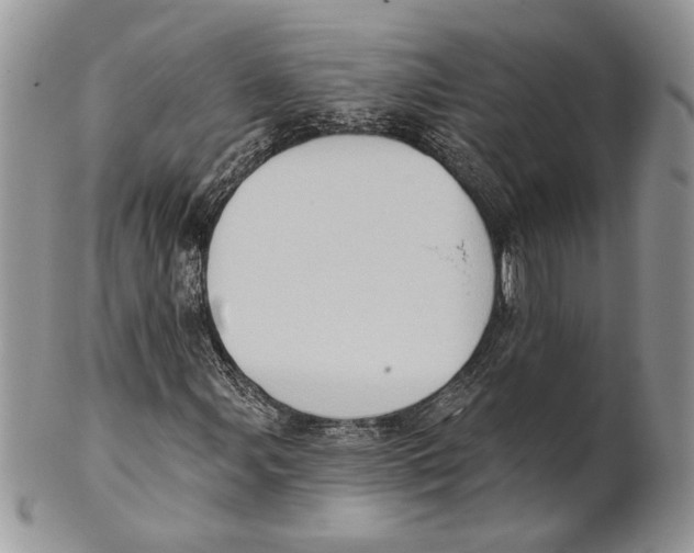 X0000101151107200807251042