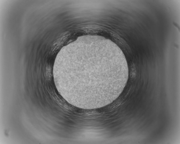 X0000101151108200807251042