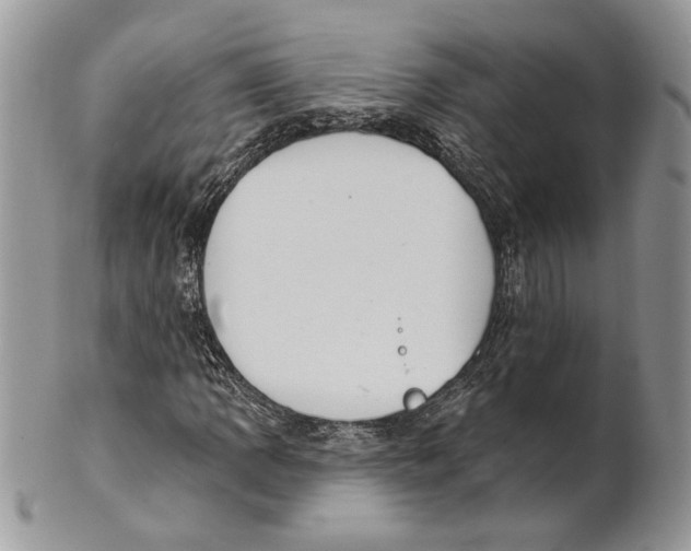 X0000101151109200807251042
