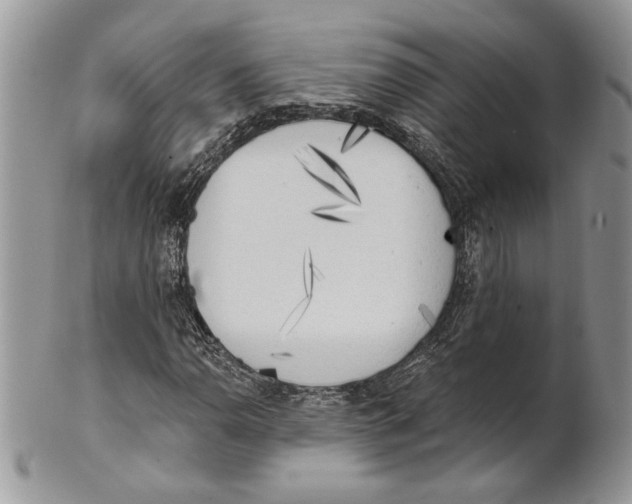 X0000101151110200807251042