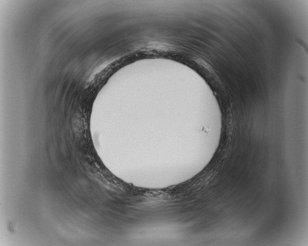X0000101151112200807251042