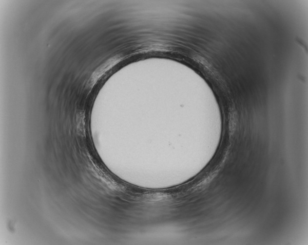X0000101151113200807251042