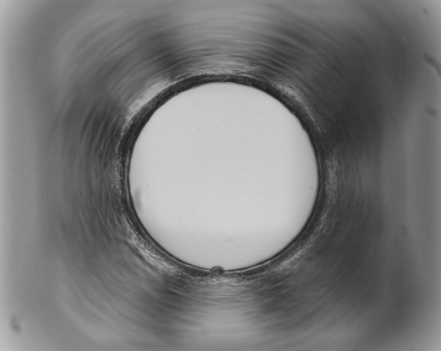 X0000101151114200807251042