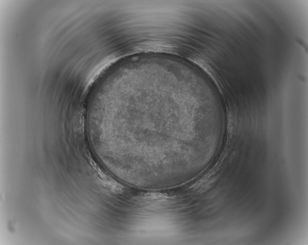 X0000101151115200807251042