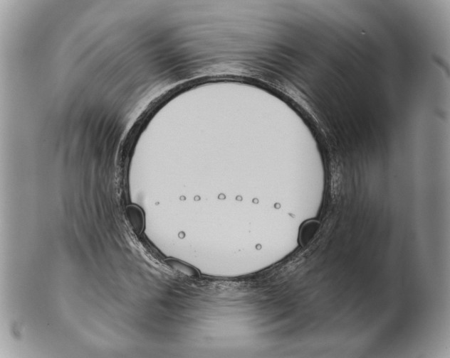 X0000101151116200807251042