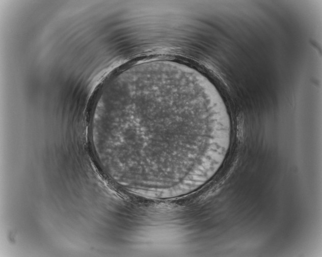 X0000101151117200807251042