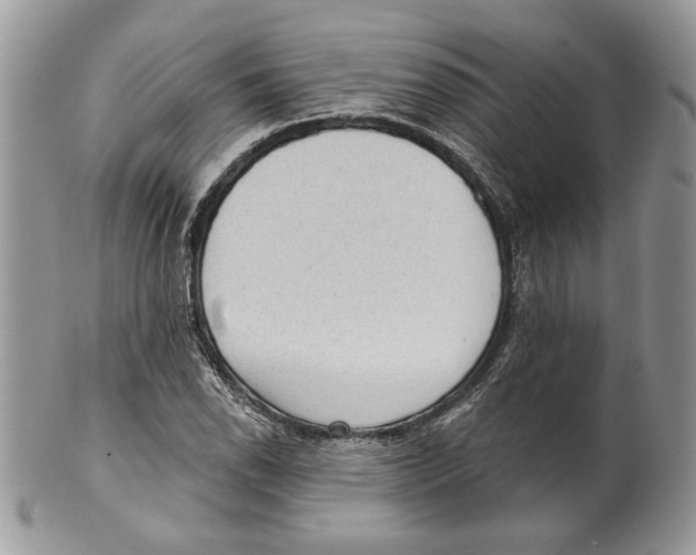 X0000101151118200807251042