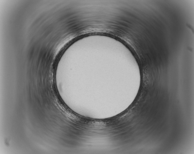 X0000101151119200807251042
