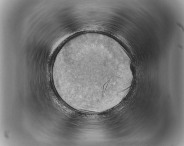 X0000101151120200807251042