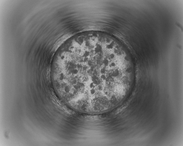 X0000101151121200807251042