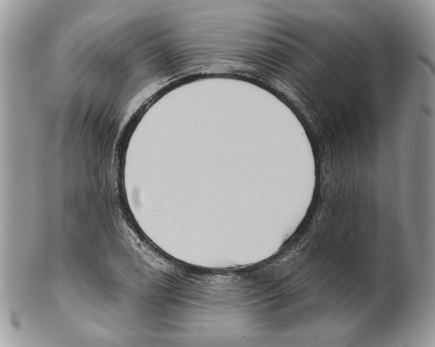 X0000101151122200807251042