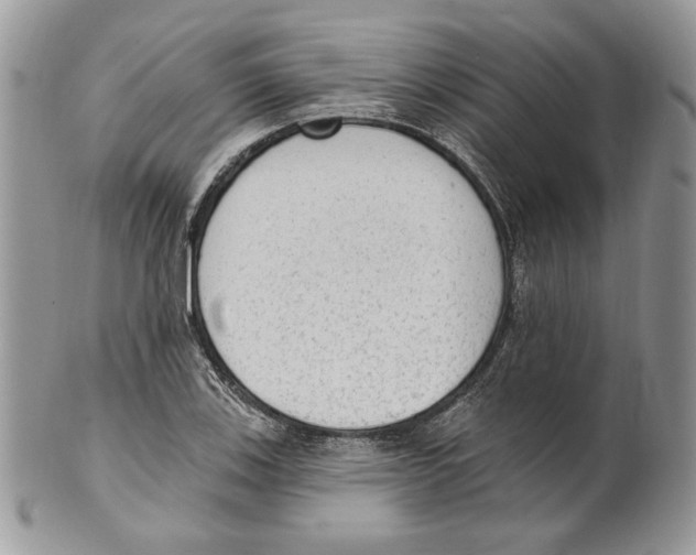 X0000101151123200807251042