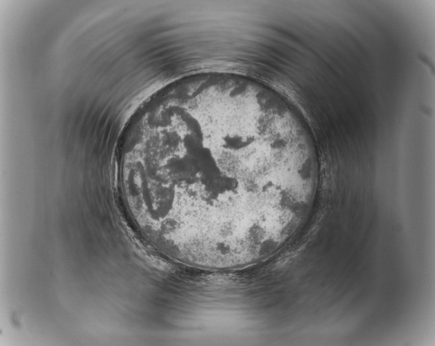 X0000101151125200807251042