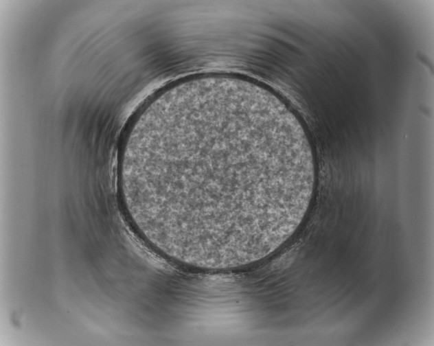 X0000101151126200807251042
