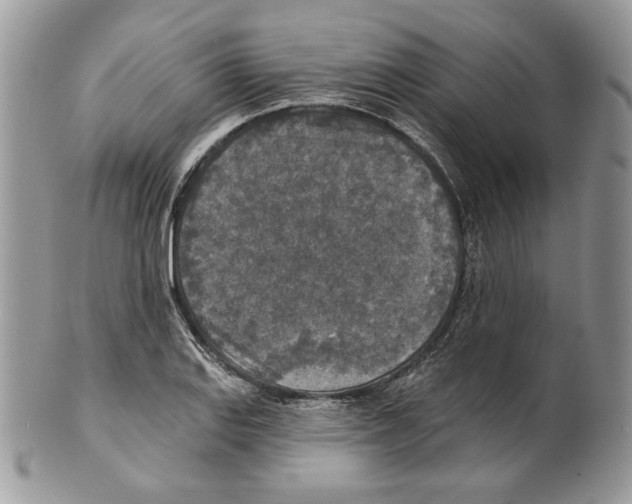 X0000101151127200807251042