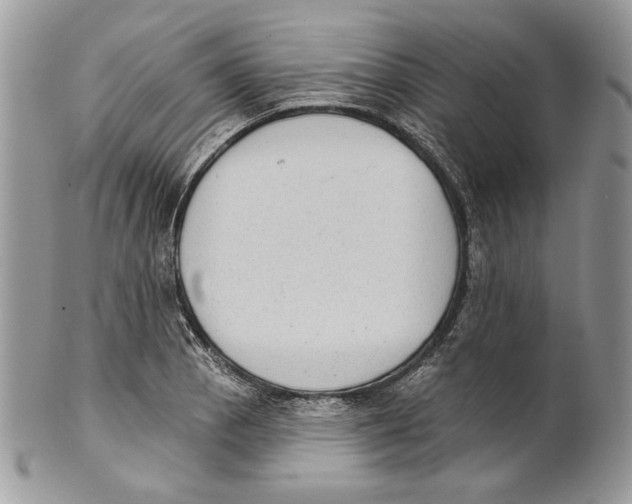 X0000101151129200807251042