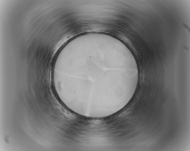 X0000101151130200807251042