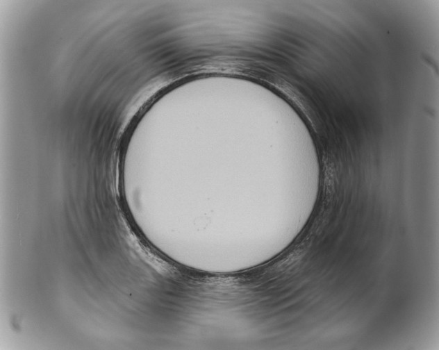 X0000101151131200807251042