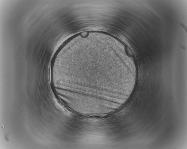 X0000101151132200807251042
