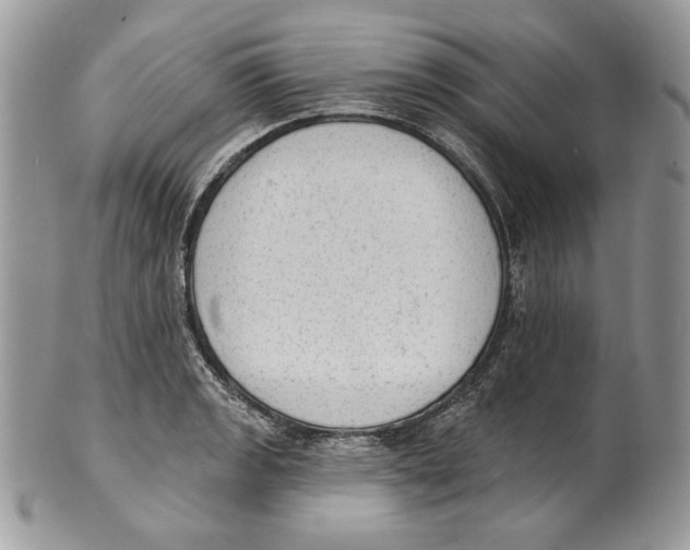 X0000101151133200807251042