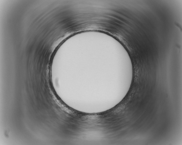 X0000101151134200807251042