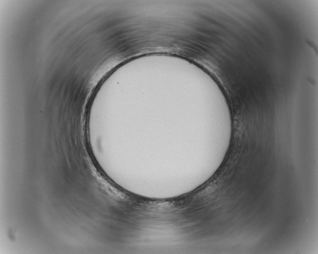 X0000101151135200807251042
