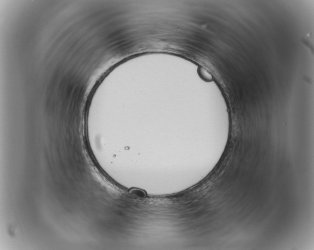 X0000101151136200807251042